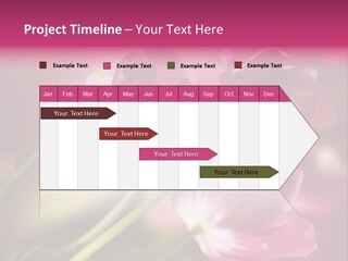 Spring Space Bunch PowerPoint Template