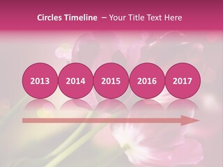 Spring Space Bunch PowerPoint Template