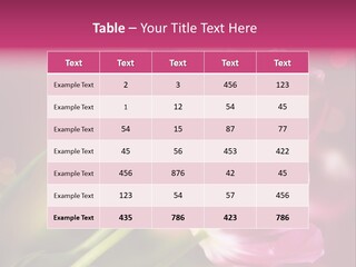 Spring Space Bunch PowerPoint Template