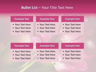 Spring Space Bunch PowerPoint Template