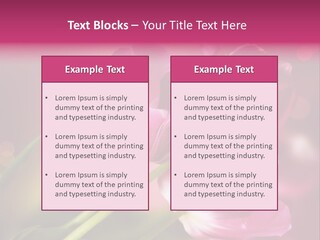 Spring Space Bunch PowerPoint Template