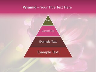 Spring Space Bunch PowerPoint Template