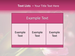 Spring Space Bunch PowerPoint Template