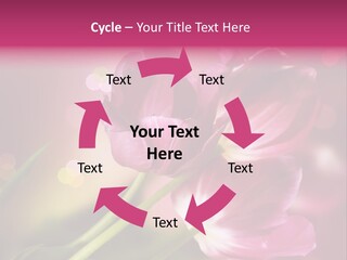 Spring Space Bunch PowerPoint Template