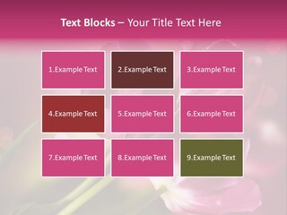 Spring Space Bunch PowerPoint Template