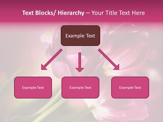 Spring Space Bunch PowerPoint Template