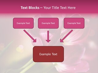 Spring Space Bunch PowerPoint Template