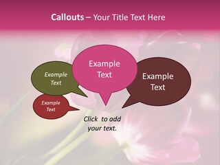 Spring Space Bunch PowerPoint Template