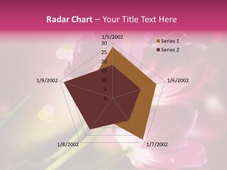 Spring Space Bunch PowerPoint Template