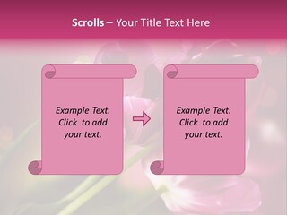 Spring Space Bunch PowerPoint Template