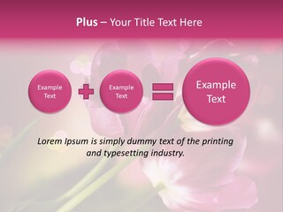 Spring Space Bunch PowerPoint Template