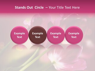 Spring Space Bunch PowerPoint Template