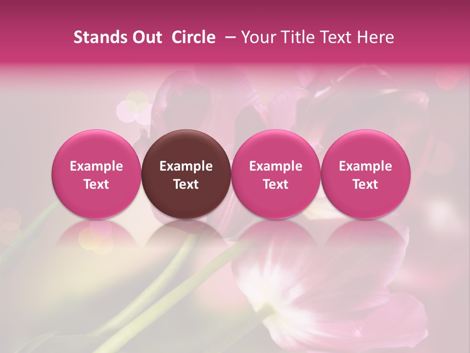 Spring Space Bunch PowerPoint Template