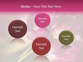 Spring Space Bunch PowerPoint Template