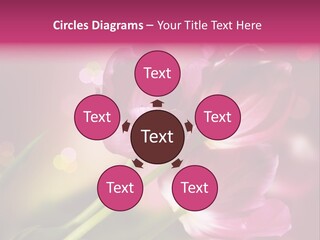 Spring Space Bunch PowerPoint Template