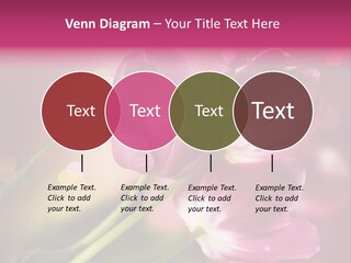 Spring Space Bunch PowerPoint Template