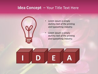 Spring Space Bunch PowerPoint Template