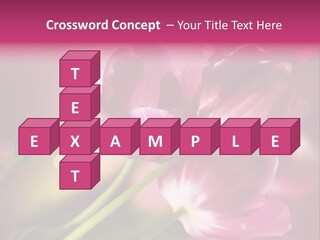 Spring Space Bunch PowerPoint Template