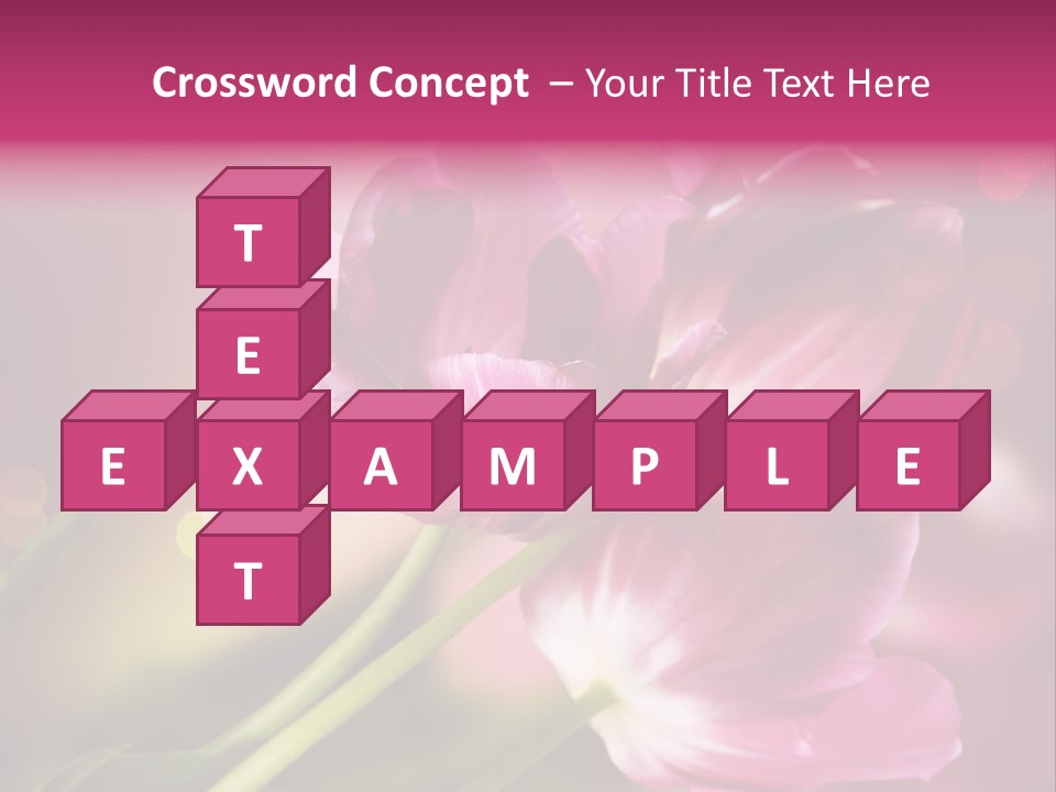 Spring Space Bunch PowerPoint Template