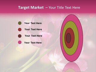 Spring Space Bunch PowerPoint Template