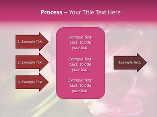 Spring Space Bunch PowerPoint Template