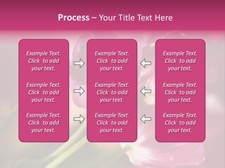 Spring Space Bunch PowerPoint Template