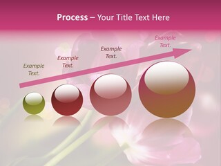 Spring Space Bunch PowerPoint Template