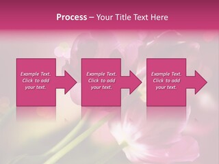 Spring Space Bunch PowerPoint Template