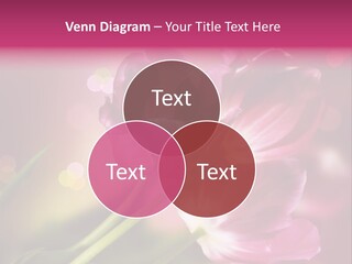 Spring Space Bunch PowerPoint Template