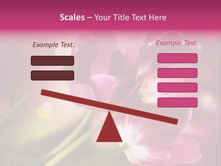 Spring Space Bunch PowerPoint Template