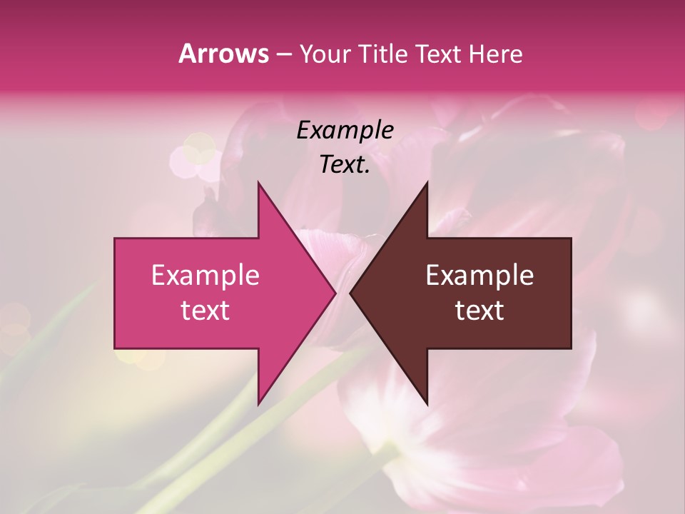 Spring Space Bunch PowerPoint Template