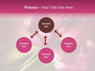 Spring Space Bunch PowerPoint Template