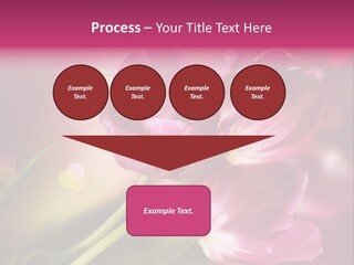 Spring Space Bunch PowerPoint Template