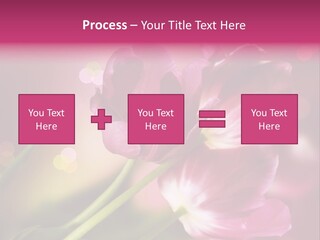 Spring Space Bunch PowerPoint Template