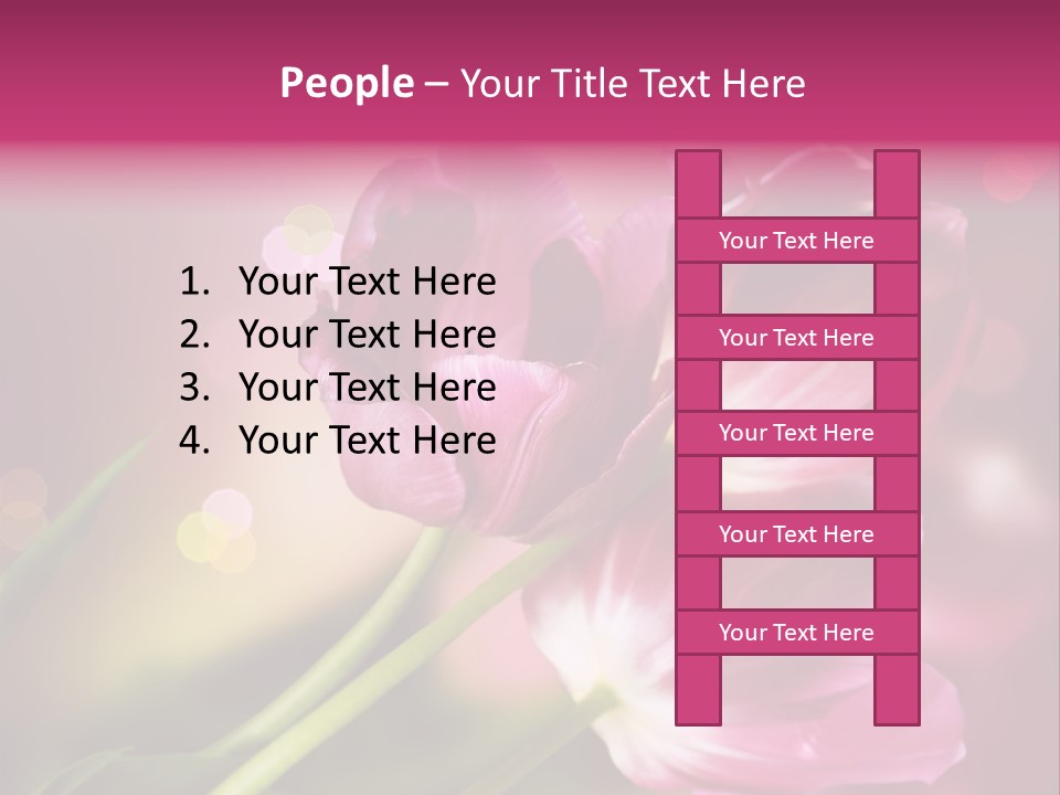 Spring Space Bunch PowerPoint Template