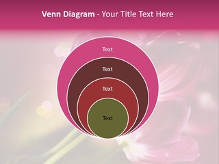 Spring Space Bunch PowerPoint Template