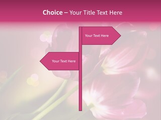 Spring Space Bunch PowerPoint Template