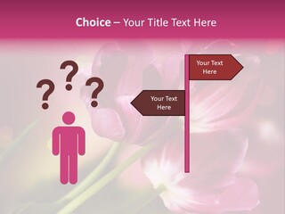 Spring Space Bunch PowerPoint Template