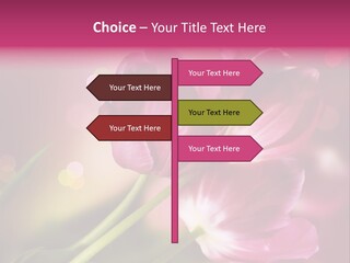 Spring Space Bunch PowerPoint Template