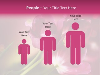 Spring Space Bunch PowerPoint Template