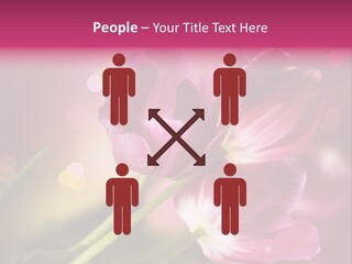 Spring Space Bunch PowerPoint Template