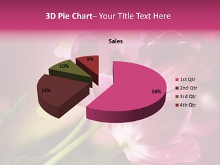 Spring Space Bunch PowerPoint Template