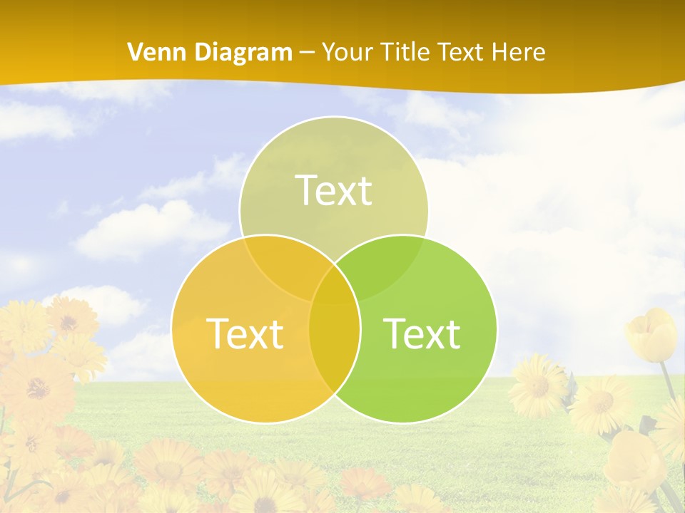 Gauge Foot Shadows PowerPoint Template