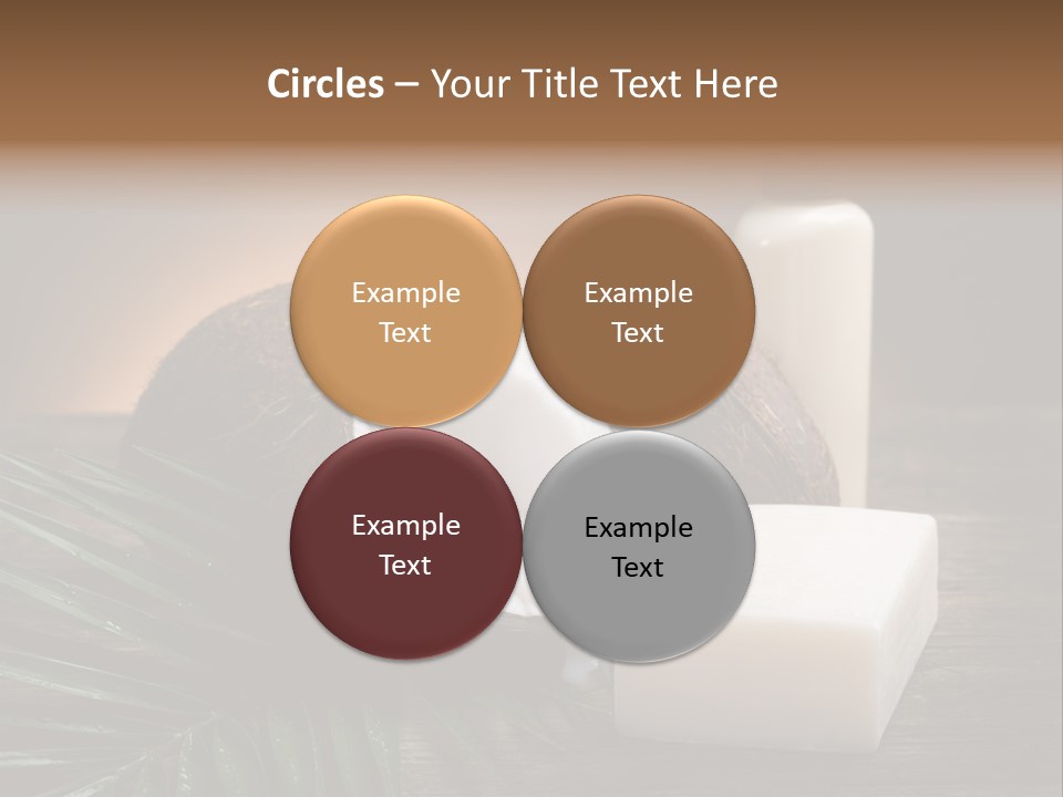 Organic Soap Nut PowerPoint Template