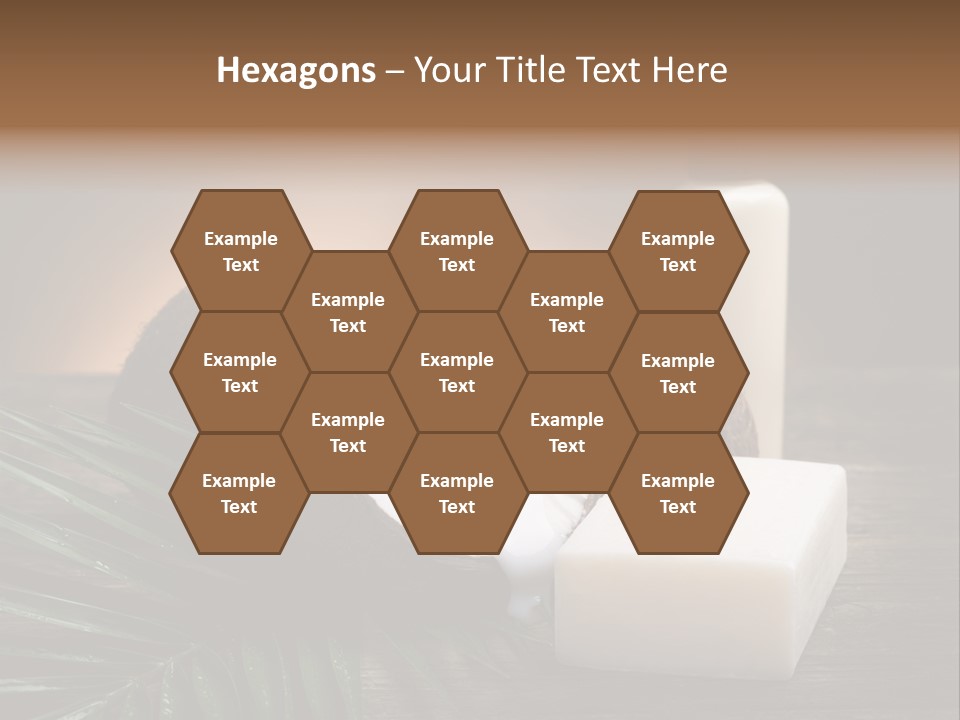 Organic Soap Nut PowerPoint Template