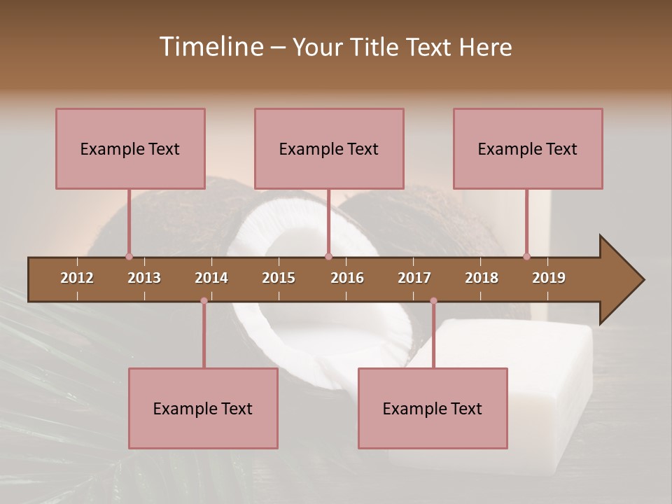 Organic Soap Nut PowerPoint Template
