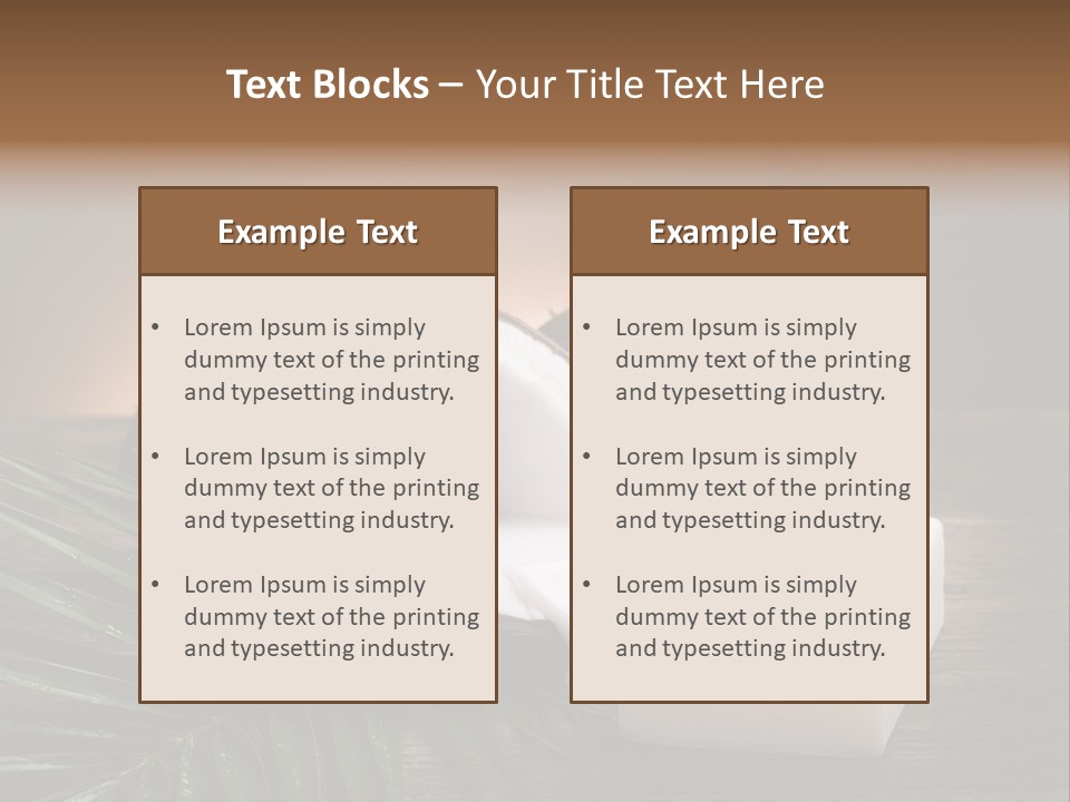 Organic Soap Nut PowerPoint Template