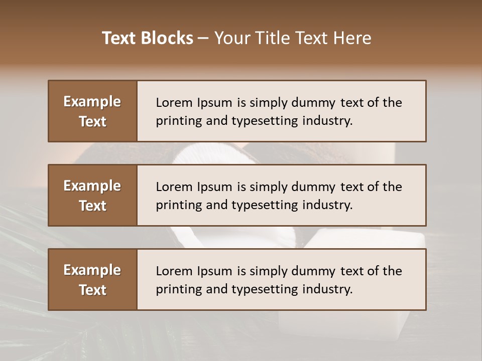 Organic Soap Nut PowerPoint Template
