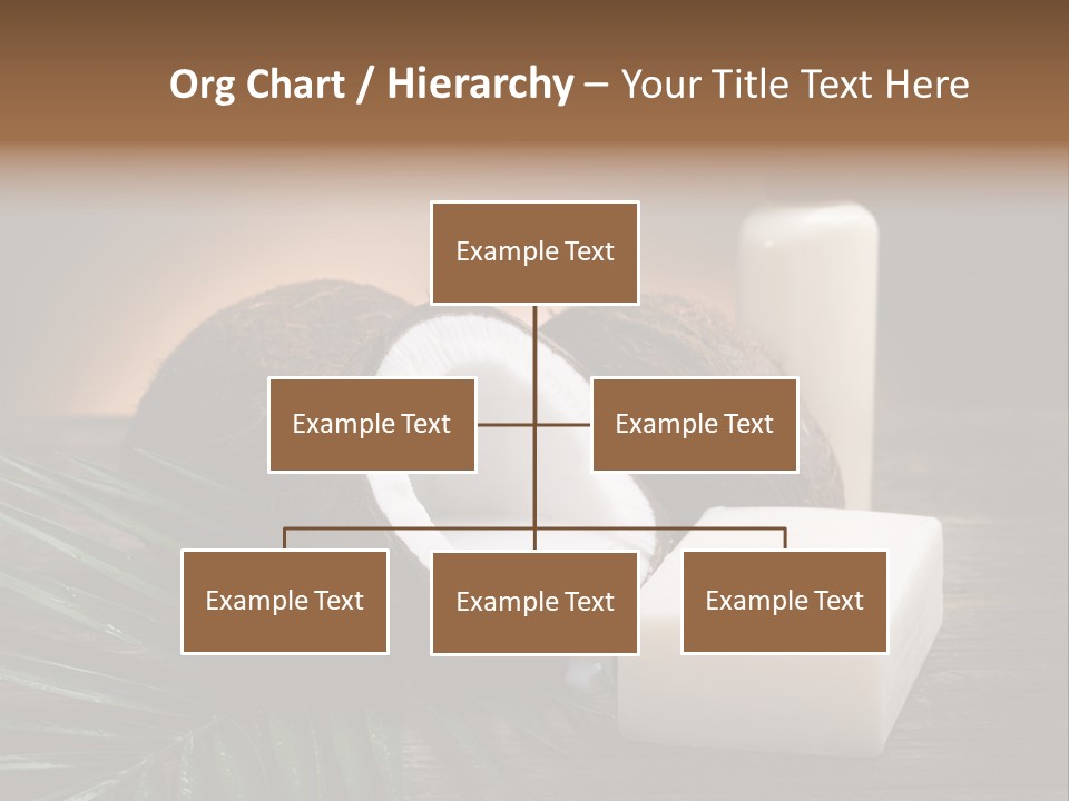 Organic Soap Nut PowerPoint Template