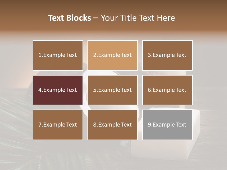 Organic Soap Nut PowerPoint Template